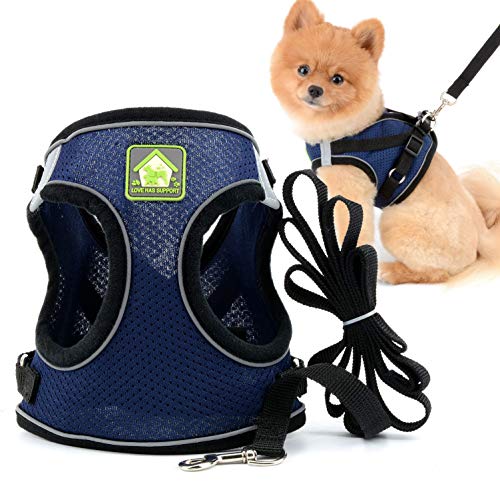 smalllee_Lucky_Store Hundegeschirr und Leine für kleine Hunde Welpen, weiches Netzgewebe, reflektierend, katzengeschirr ausbruchsicher für Spaziergänge,für Jungen,Mädchen,kleine Welpen,Kätzchen smalllee_Lucky_Store Hundegeschirr und Leine für kleine Hunde Welpen, weiches Netzgewebe, reflektierend, katzengeschirr ausbruchsicher für Spaziergänge,für Jungen,Mädchen,kleine Welpen,Kätzchen von smalllee_lucky_store