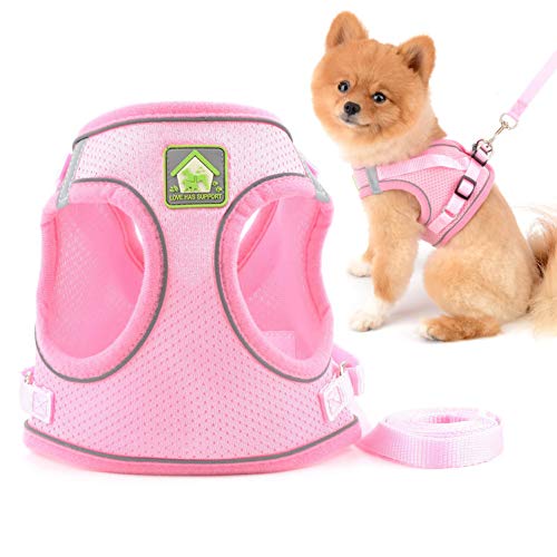 smalllee_Lucky_Store Hundegeschirr und Leine für kleine Hunde Welpen, weiches Netzgewebe, reflektierend, katzengeschirr ausbruchsicher für Spaziergänge,für Jungen,Mädchen,kleine Welpen,Kätzchen smalllee_Lucky_Store Hundegeschirr und Leine für kleine Hunde Welpen, weiches Netzgewebe, reflektierend, katzengeschirr ausbruchsicher für Spaziergänge,für Jungen,Mädchen,kleine Welpen,Kätzchen von smalllee_lucky_store