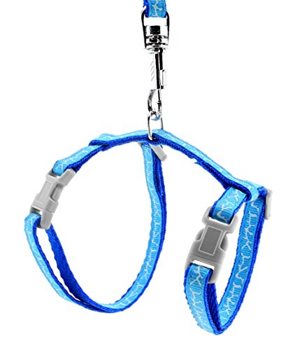 SMALLLEE_LUCKY_STORE Spielzeug Hund Katze Kätzchen Verstellbares Geschirr Halsband Kaninchen Geschir Elastischer Gehgeschirr Set für Kleintiere,Giraffen,Blau SMALLLEE_LUCKY_STORE Spielzeug Hund Katze Kätzchen Verstellbares Geschirr Halsband Kaninchen Geschir Elastischer Gehgeschirr Set für Kleintiere,Giraffen,Blau von smalllee_lucky_store