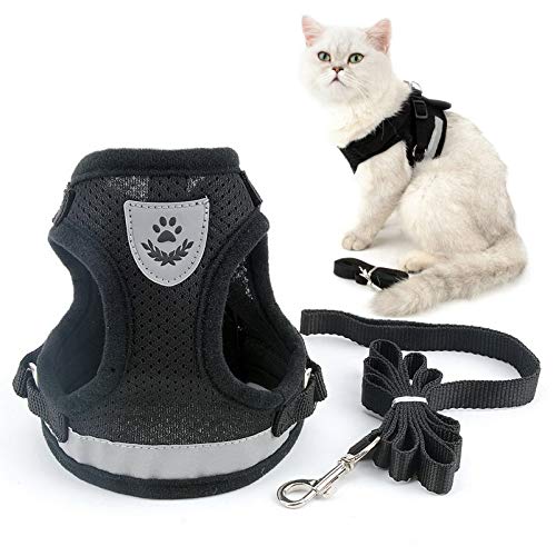 smalllee_lucky_store Hundegeschirr mit Leine, weiches Netzgewebe,katzengeschirr ausbruchsicher, verstellbar, kein Ziehen, sicheres Laufen, Jacke, kleine Hunde,kleine Welpen, Kätzchen von smalllee_lucky_store