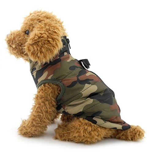 smalllee_Lucky_Store Hundejacke wasserdicht, Hundemantel, GeschirrWeste für kleine Hunde Katzen Haustiere hundebekleidung Chihuahua wintermantel Shih tzu smalllee_Lucky_Store Hundejacke wasserdicht, Hundemantel, GeschirrWeste für kleine Hunde Katzen Haustiere hundebekleidung Chihuahua wintermantel Shih tzu von smalllee_lucky_store