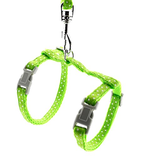 SMALLLEE_LUCKY_STORE Spielzeug Hund Katze Kätzchen Verstellbares Geschirr Halsband Kaninchen Geschir Elastischer Gehgeschirr Set für Kleintiere,Gepunktet,Grün SMALLLEE_LUCKY_STORE Spielzeug Hund Katze Kätzchen Verstellbares Geschirr Halsband Kaninchen Geschir Elastischer Gehgeschirr Set für Kleintiere,Gepunktet,Grün von smalllee_lucky_store