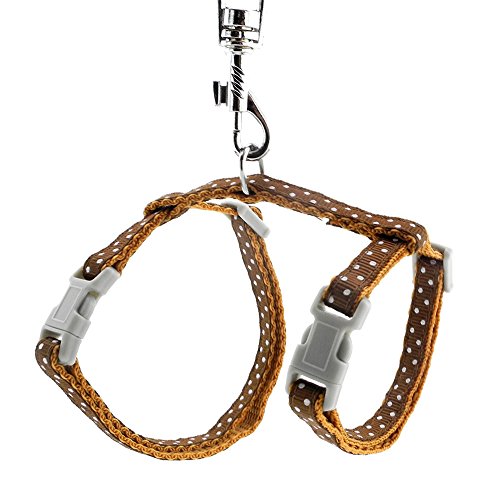 SMALLLEE_LUCKY_STORE Spielzeug Hund Katze Kätzchen Verstellbares Geschirr Halsband Kaninchen Geschir Elastischer Gehgeschirr Set für Kleintiere,Gepunktet,Braun SMALLLEE_LUCKY_STORE Spielzeug Hund Katze Kätzchen Verstellbares Geschirr Halsband Kaninchen Geschir Elastischer Gehgeschirr Set für Kleintiere,Gepunktet,Braun von smalllee_lucky_store