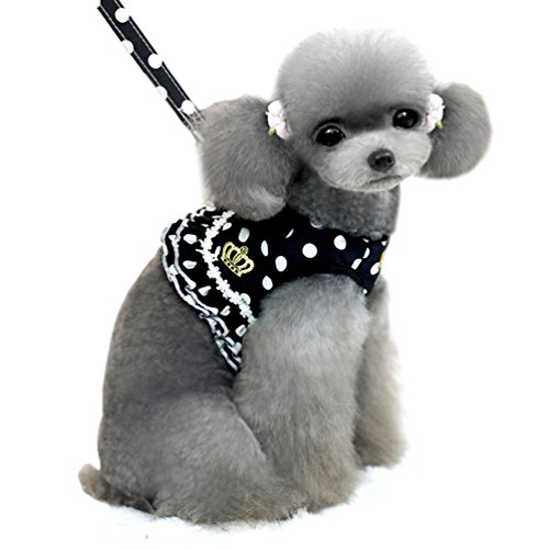 SMALLLEE_LUCKY_STORE Hundegeschirr / Leine für kleine Hunde und Katzen, gepunktet, Netzstoff, gepolstert, Größe M, Schwarz SMALLLEE_LUCKY_STORE Hundegeschirr / Leine für kleine Hunde und Katzen, gepunktet, Netzstoff, gepolstert, Größe M, Schwarz von smalllee_lucky_store