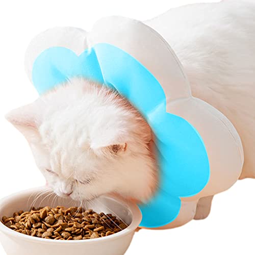 smashing Schutzkegel - Weiches, leichtes Baumwoll-Donut-Halsband,Hundehalsband-Kissenkegel verhindern das Lecken, Kauen und Kratzen für Fotoshootings, lustige Partytage smashing Schutzkegel - Weiches, leichtes Baumwoll-Donut-Halsband,Hundehalsband-Kissenkegel verhindern das Lecken, Kauen und Kratzen für Fotoshootings, lustige Partytage von smashing
