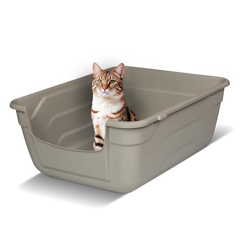 Snugsy Katzenklo mit Hohem Rand - L - Offene Katzentoilette ohne Deckel - Leicht zu Reinigen - Grau 50 x 38,5 cm von snugsy