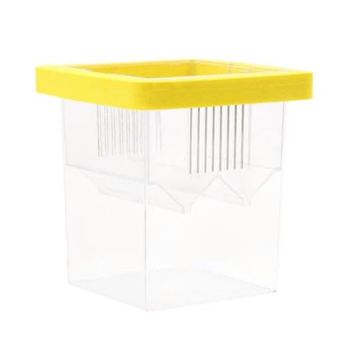 Acryl Fischzuchtbox für Brutkasten und Isolierung für Aquarien Zuchtbox mit Saugnäpfen Acryl Fischzuchtbox für Brutkasten und Isolierung für Aquarien Zuchtbox mit Saugnäpfen von sodeber