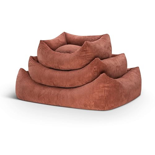 softwalls Orthopädisches Hundebett Cord - Hundekissen XXL - Hundekorb kleine Hunde - Hundekorb - Hundecouch - Hundesofa | Lachs Rot (S) von softwalls