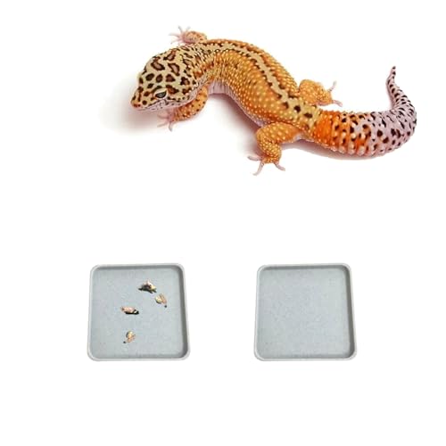 spansee Leopard Gecko Töpfchen Pad, Gecko Töpfchen Latrine/Tablettchen, Crested Gecko Leopard Gecko Katzentoilette, Leopard Gecko Tank Zubehör, Set mit 2 Stück, klein von spansee