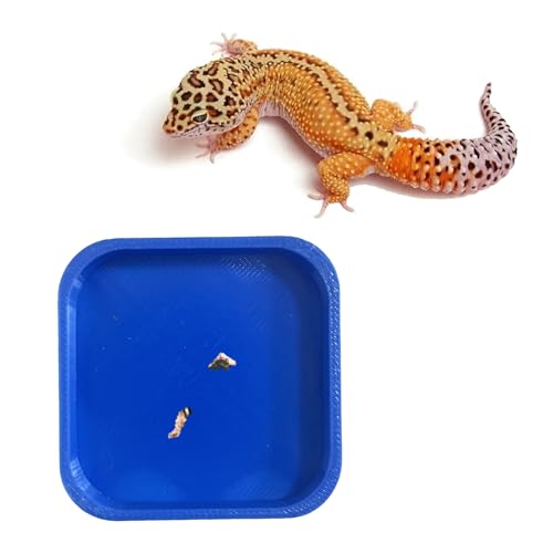 spansee Leopard Gecko Töpfchenunterlage, Gecko Töpfchen Latrine/Tabletts, Crested Gecko Leopard Gecko Katzentoilette, Leopard Gecko Tank Zubehör, 2 Stück, Blau, Groß von spansee