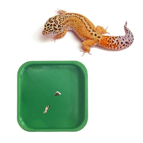 spansee Leopard Gecko Töpfchenunterlage, Gecko Töpfchen Latrine/Tabletts, Crested Gecko Leopard Gecko Katzentoilette, Leopard Gecko Tank Zubehör, 2 Stück, Grün, Groß von spansee