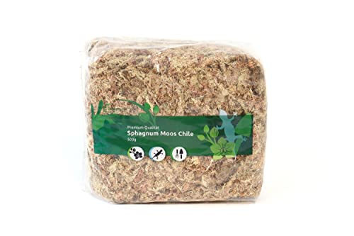 Sphagnum Moos für Terrarium und Orchideen aus Chile 1 x 500 g für Orchideen & Terraristik - Ideal Substrat & Moosstäbe von sphagnum-shop.com