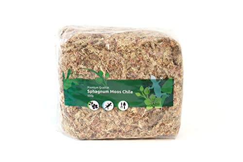 Sphagnum Moos für Terrarium und Orchideen aus Chile 1 x 500 g von sphagnum-shop.com