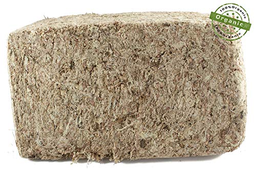 Sphagnum Moos 5000g für Orchideen, Blumenerde und Terrarium aus Chile von sphagnum-shop.com