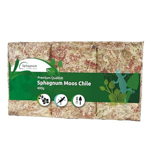 Sphagnum Moos Moosziegel für Terrarium und Orchideen aus Chile 100/200/400 g für Orchideen & Terraristik - Ideal Substrat & Moosstäbe (400 g) von sphagnum-shop.com