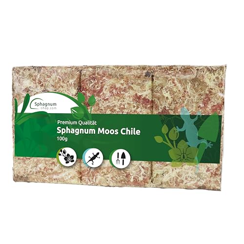 Sphagnum Moos Moosziegel für Terrarium und Orchideen aus Chile 100/200/400 g für Orchideen & Terraristik - Ideal Substrat & Moosstäbe (100 g) Sphagnum Moos Moosziegel für Terrarium und Orchideen aus Chile 100/200/400 g für Orchideen & Terraristik - Ideal Substrat & Moosstäbe (100 g) von sphagnum-shop.com
