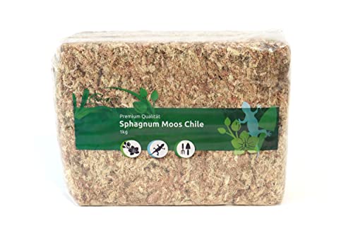 Sphagnum Moos für Terrarium und Orchideen aus Chile 1 x 1000 g für Orchideen & Terraristik - Ideal Substrat & Moosstäbe von sphagnum-shop.com