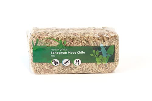 Sphagnum Moos für Terrarium und Orchideen aus Chile 150 g von sphagnum-shop.com