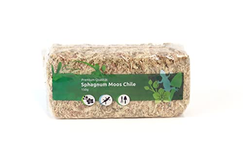 Sphagnum Moos für Terrarium und Orchideen aus Chile 150 g für Orchideen & Terraristik - Ideal Substrat & Moosstäbe von sphagnum-shop.com