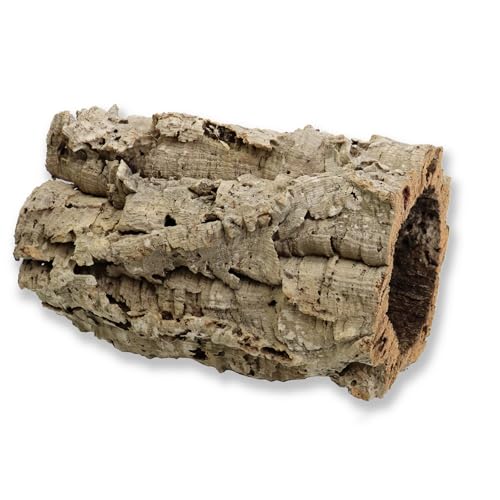 sphagnum-shop.com Korkeiche Rinde Korkröhren 30cm lang ca. 12-16cm Innendurchmesser Naturkorkrinde Terrarium Modellbau Deko sphagnum-shop.com Korkeiche Rinde Korkröhren 30cm lang ca. 12-16cm Innendurchmesser Naturkorkrinde Terrarium Modellbau Deko von sphagnum-shop.com