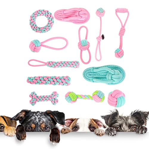 12-teiliges Hundespielzeug-Set aus Baumwollseil für kleine Hunde, interaktives Kauspielzeug für Zahnreinigung und Bewegung von sporful