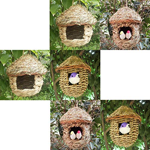 6 handgewebtes Stroh-Vogelnest, Brutgras, Höhle, Garten, Baumdekoration, umweltfreundliches Vogelhaus 6 handgewebtes Stroh-Vogelnest, Brutgras, Höhle, Garten, Baumdekoration, umweltfreundliches Vogelhaus von sporful