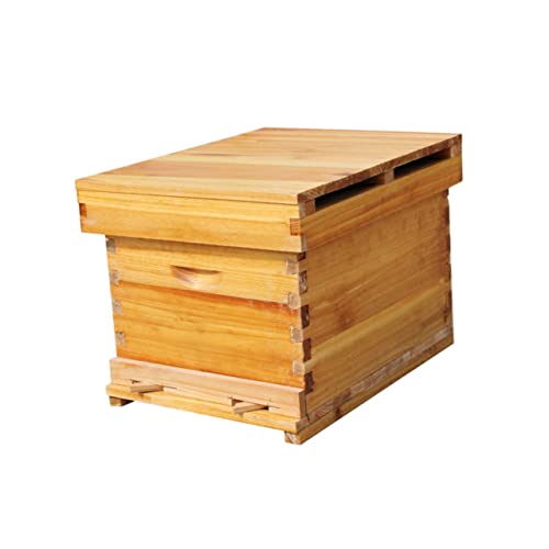 Bienenstockbox aus Holz mit Wachsbeschichtung, Bienenstock für den Außenbereich für Zuhause Imkerei und Bienenstockwirtschaft von sporful