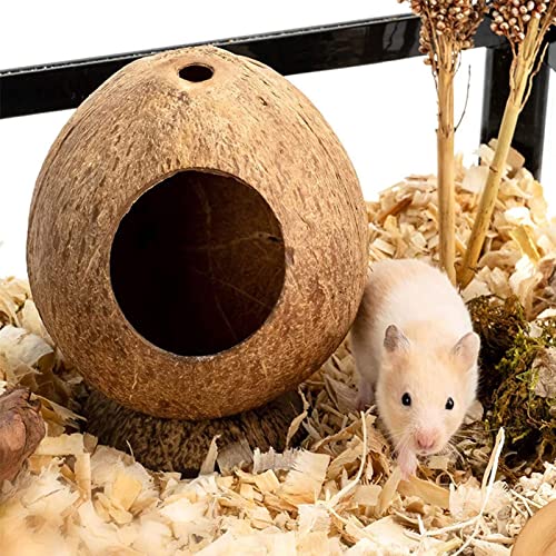 Hamsterkäfig Haustierversteck Nest Kokosnuss Hütte Bett Haus für Häschen Mäuse Frettchen Meerschweinchen Igel Eichhörnchen Hamsterkäfig Haustierversteck Nest Kokosnuss Hütte Bett Haus für Häschen Mäuse Frettchen Meerschweinchen Igel Eichhörnchen von sporful