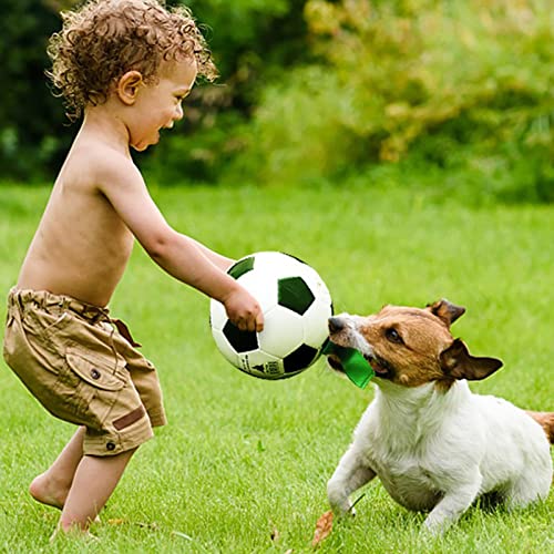 Hundespielzeug, schwimmendes Wasser-Apportierspielzeug mit Nylonlaschen für interaktives Spielen, langlebiges PVC, kaufest, umweltfreundlich, 18 cm Hundespielzeug, schwimmendes Wasser-Apportierspielzeug mit Nylonlaschen für interaktives Spielen, langlebiges PVC, kaufest, umweltfreundlich, 18 cm von sporful