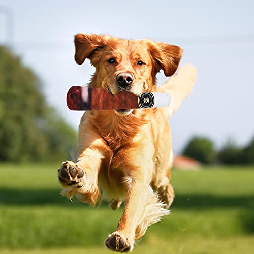 Kauer, Quietscher, gefüllte Zigarren, Hundespielzeug für Welpen, Kauspielzeug für Haustiere von sporful