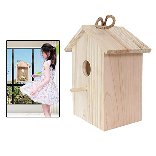 Vogelhaus mit transparenter Rückseite für Kinder – unlackierter Vogelkäfig aus Holz mit Sitzstange von sporful
