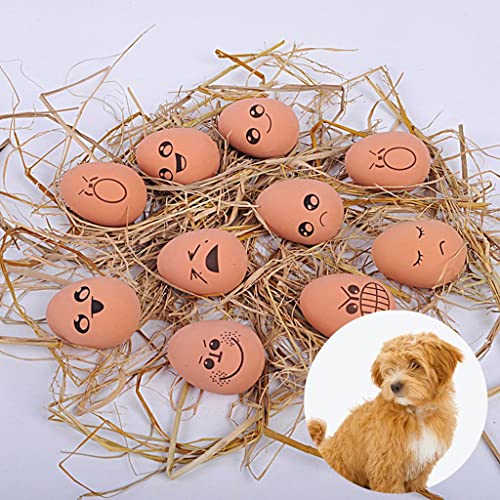 sporful 10 Stück Gummi-Bälle für Haustiere – lustiges Hüpfspielzeug für Hunde und Katzen von sporful