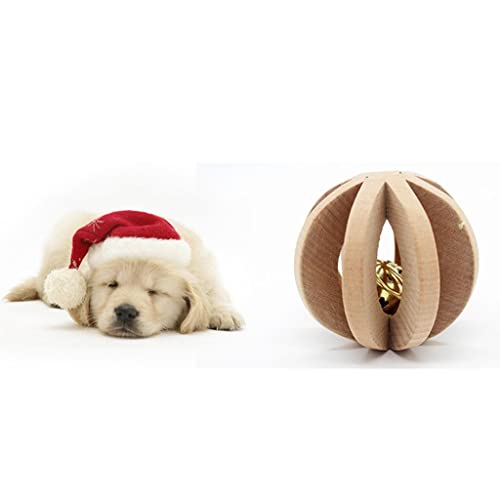 sporful Holzball mit Glocke für Hunde und Katzen, 7 cm sporful Holzball mit Glocke für Hunde und Katzen, 7 cm von sporful