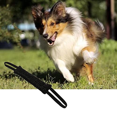sporful Hundetraining Bissfestes Zerrspielzeug mit Seilgriffen für kleine und mittelgroße Hunde, interaktives Spielen und Trainieren sporful Hundetraining Bissfestes Zerrspielzeug mit Seilgriffen für kleine und mittelgroße Hunde, interaktives Spielen und Trainieren von sporful