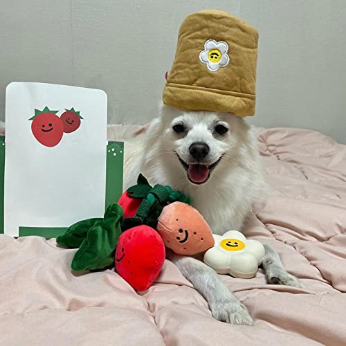 sporful INS Puzzle Hund Gesangsspielzeug Quietschen Interaktives tibetisches Futtertraining für Haustier mit verstellbarem Schwierigkeitsgrad und Baumwollseil von sporful
