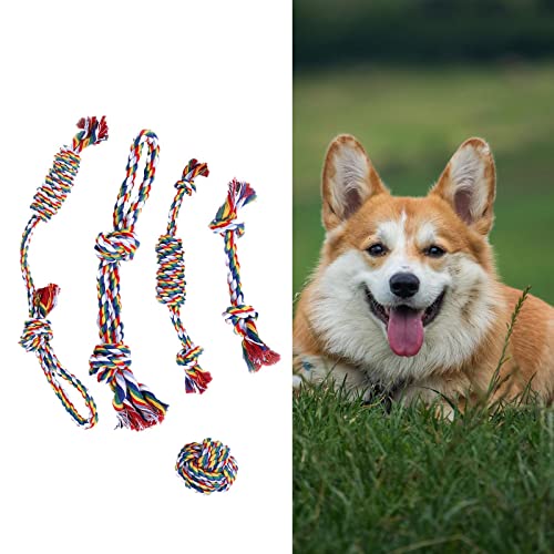 sporful Kauspielzeug für Hunde, bissfest, Baumwollseil, Geschenk für kleine Welpen, 5 Stück sporful Kauspielzeug für Hunde, bissfest, Baumwollseil, Geschenk für kleine Welpen, 5 Stück von sporful