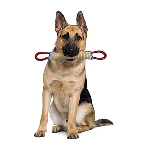 sporful Langlebiges Hundespielzeug mit 2 Griffen für interaktives Spielen und Training von sporful
