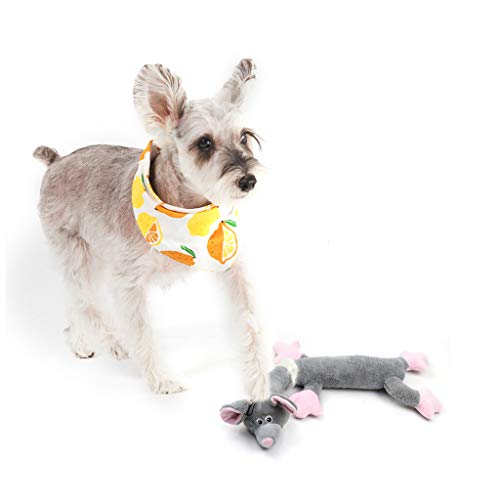 sporful Lustiges Hundespielzeug aus Plüsch, quietschend, für große, mittelgroße Haustiere, graue Rattenform von sporful