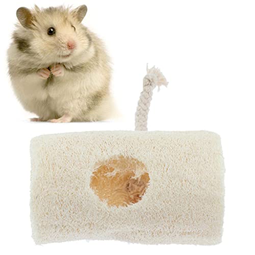 sporful Natürliches Luffa Kauspielzeug für Kaninchen, Hamster, Chinchillas, Kleintiere, Zahnreinigung, Stressabbau, Spaß, Spielen von sporful