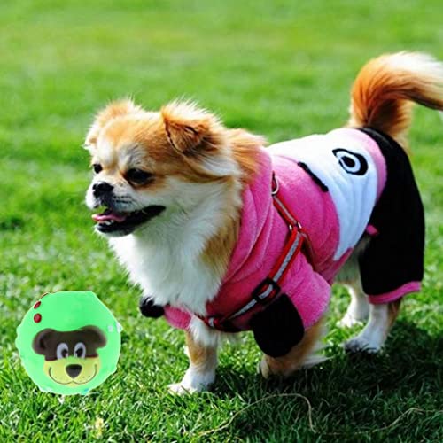 sporful Quietschball, Löwe, Cartoon, interaktiv, für Hunde und Katzen, ungiftig, 5 Stück von sporful