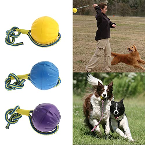 sporful Schaumstoff-Ball für Hunde mit Seil, schwimmend, langlebig, ungiftig für sicheres Spielen, 2 Stück sporful Schaumstoff-Ball für Hunde mit Seil, schwimmend, langlebig, ungiftig für sicheres Spielen, 2 Stück von sporful