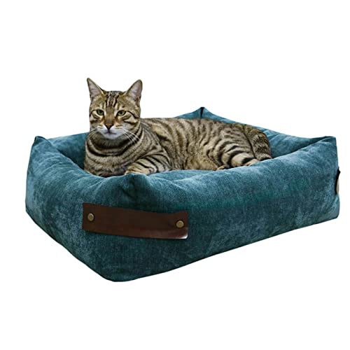 sporful Weiches Plüsch-Hundebett, Katzenhütte, abnehmbares Hausnest, warmes Kissen, Haustierkorb, Grün, 50 x 45 x 20 cm sporful Weiches Plüsch-Hundebett, Katzenhütte, abnehmbares Hausnest, warmes Kissen, Haustierkorb, Grün, 50 x 45 x 20 cm von sporful