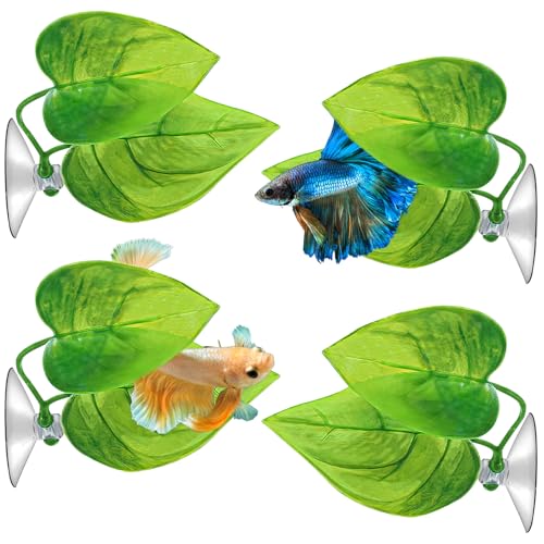 Betta-Hängematte, Betta-Tankzubehör, Fischspielzeug, simuliert den natürlichen Lebensraum für Betta-Laichplätze, Ruhebereich für Fisch-Aquarium-Ornamente von starfa lab