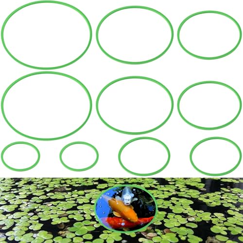 Fisch-Futterringe-Set, schwimmende Aquarium-Pflanzenkorrale in verschiedenen Größen, EVA-Material, ideal für Betta, Goldfische, Schildkrötenbecken, hält schwimmende Pflanzen, Futter an Ort und Stelle Fisch-Futterringe-Set, schwimmende Aquarium-Pflanzenkorrale in verschiedenen Größen, EVA-Material, ideal für Betta, Goldfische, Schildkrötenbecken, hält schwimmende Pflanzen, Futter an Ort und Stelle von starfa lab