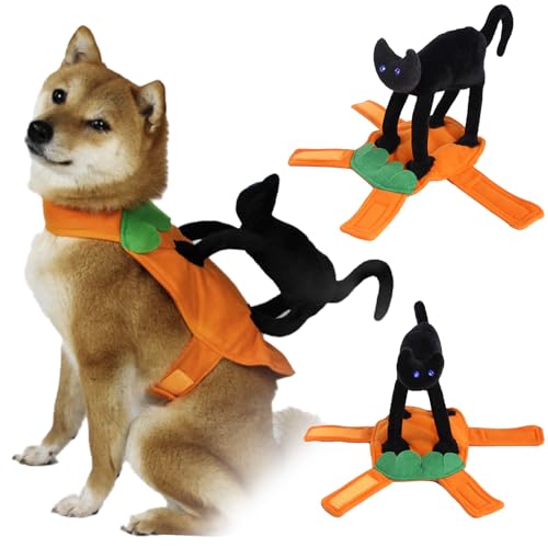 Hundesattel Halloween-Kostüm, lustiges Katzenreitkostüm, Haustierkleidung, Reitpferd, Modellierung, Verkleidung, Katze, Ritter, Cosplay-Kostüm für kleine, mittelgroße Hunde von stepsin