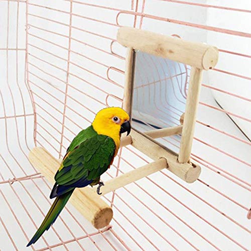 strimusimak Funny Wooden Bird Toy Mirror Stand Platform Toys for Parrots Cockatiel Vogel von strimusimak