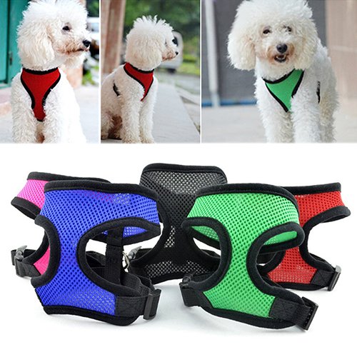 strimusimak Pet Cat Puppy Dog Control Harness Soft Mesh Vest Walk Collar Safety Leash Strap - Black M von strimusimak