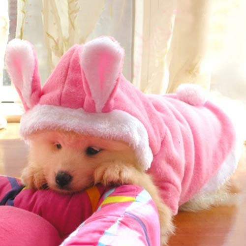 strimusimak Pet Dog Cat Cute Hoodie Bunny Clothes Winter Warm Puppy Costumes Apparel - Red L von strimusimak