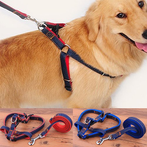 strimusimak Pet Dogs Walking Hand Grip Straps Pulling Harness Leash Dog Adjustable Belt - Blue L von strimusimak