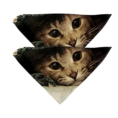 Haustierbandana für kleine mittelgroße Hunde und Katzen,Bett Süße Katze,Hunde-Bandanas,2er-Pack,Katzen-Lätzchen,Haustierschal Haustierbandana für kleine mittelgroße Hunde und Katzen,Bett Süße Katze,Hunde-Bandanas,2er-Pack,Katzen-Lätzchen,Haustierschal von suojapuku